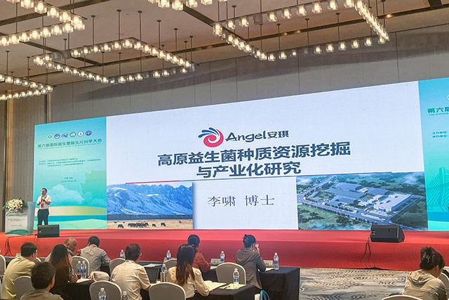 TOP1体育 – 覆盖所有顶级赛事的一站式终端