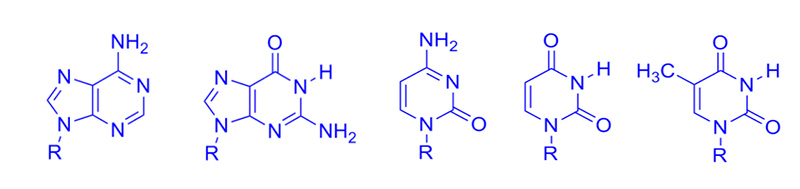 2910c485de3142a2