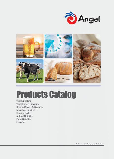 Katalog Produk Angel