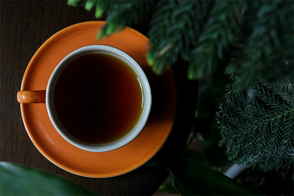 New processing technology of tea concentrate