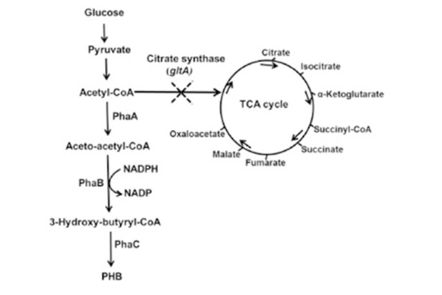 2257cb90f337601d
