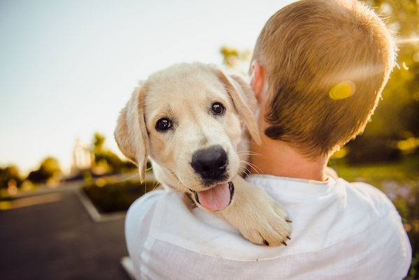 Application of Enzymes on Palatability of Pet Food