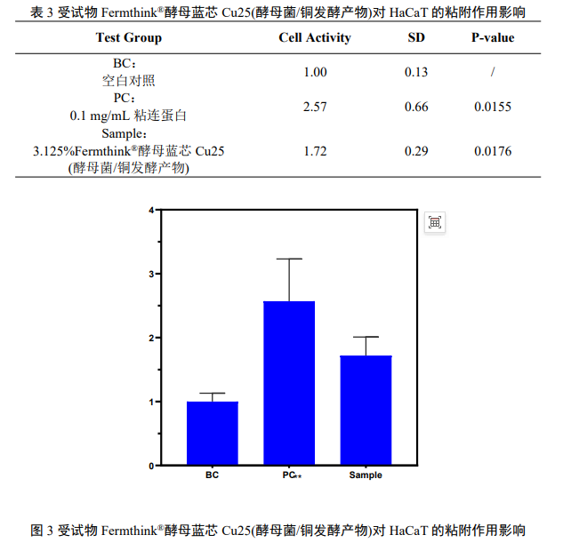 表皮樊篱的强韧化